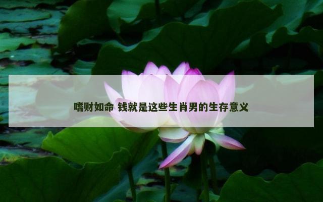 嗜财如命 钱就是这些生肖男的生存意义