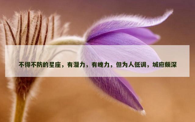 不得不防的星座，有潜力，有魄力，但为人低调，城府颇深
