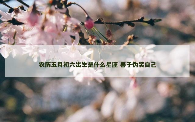 农历五月初六出生是什么星座 善于伪装自己
