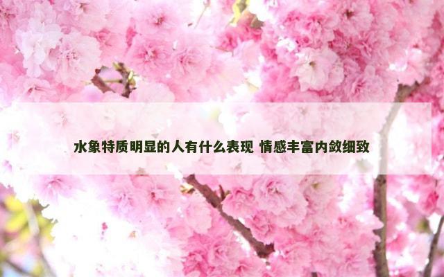 水象特质明显的人有什么表现 情感丰富内敛细致