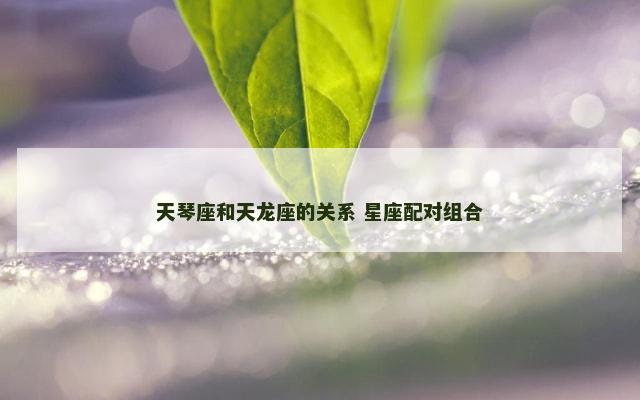 天琴座和天龙座的关系 星座配对组合