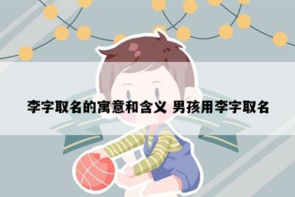 李字取名的寓意和含义 男孩用李字取名