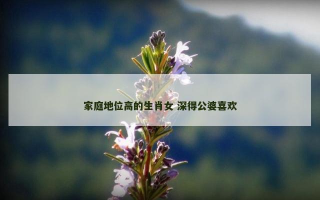 家庭地位高的生肖女 深得公婆喜欢
