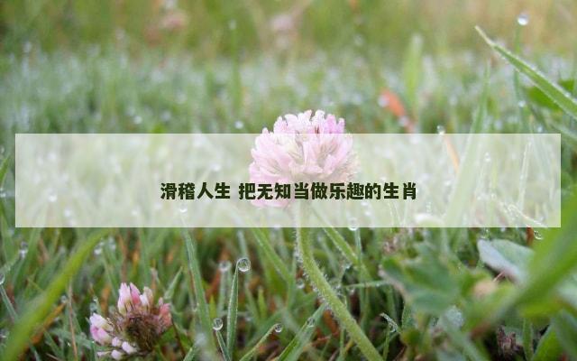 滑稽人生 把无知当做乐趣的生肖