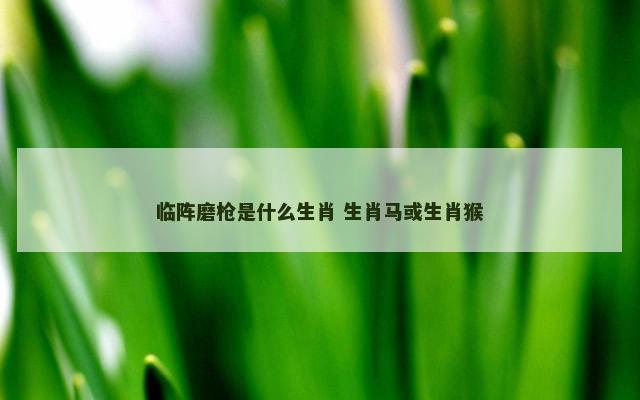 临阵磨枪是什么生肖 生肖马或生肖猴
