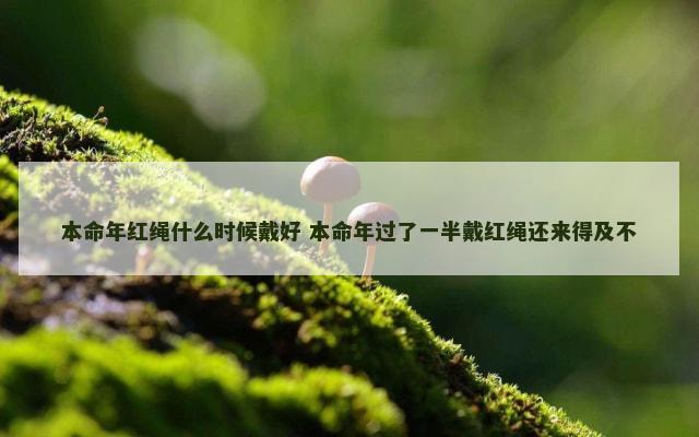 本命年红绳什么时候戴好 本命年过了一半戴红绳还来得及不