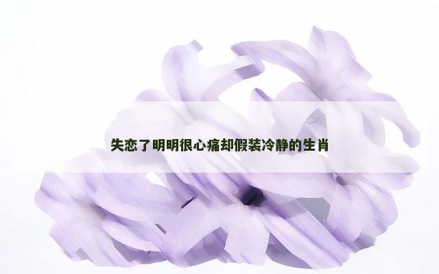 失恋了明明很心痛却假装冷静的生肖
