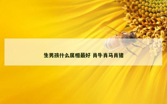 生男孩什么属相最好 肖牛肖马肖猪