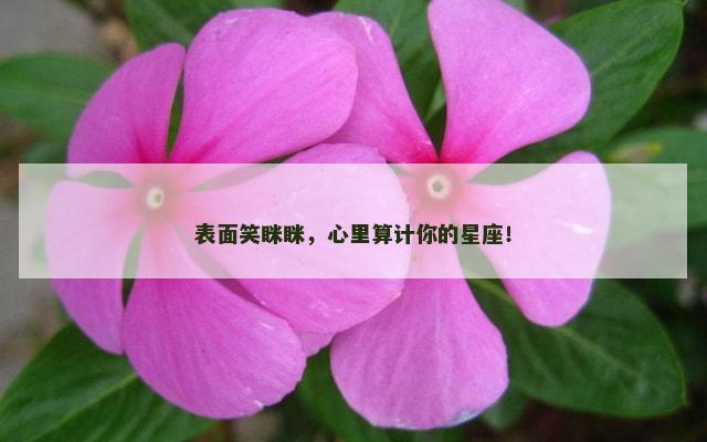 表面笑眯眯，心里算计你的星座！