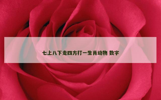 七上八下走四方打一生肖动物 数字