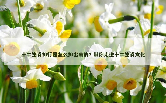 十二生肖排行是怎么排出来的? 带你走进十二生肖文化