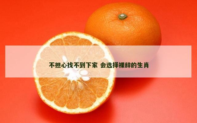 不担心找不到下家 会选择裸辞的生肖