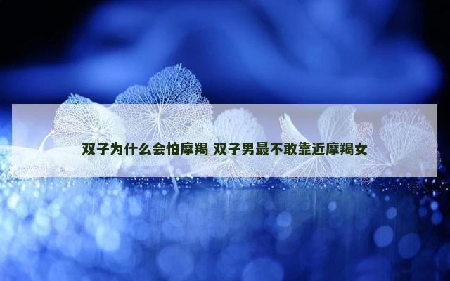 双子为什么会怕摩羯 双子男最不敢靠近摩羯女