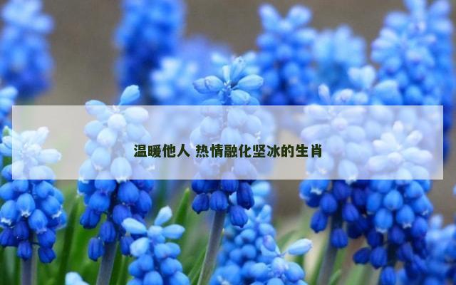 温暖他人 热情融化坚冰的生肖