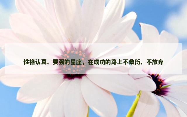 性格认真、要强的星座，在成功的路上不敷衍、不放弃