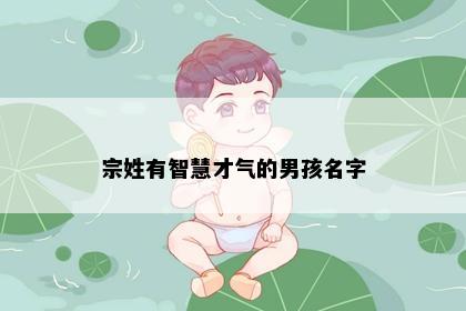 宗姓有智慧才气的男孩名字