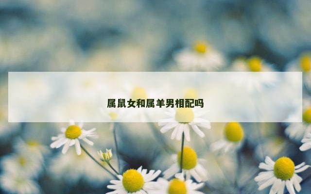 属鼠女和属羊男相配吗