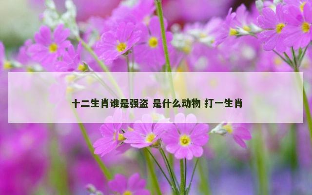 十二生肖谁是强盗 是什么动物 打一生肖