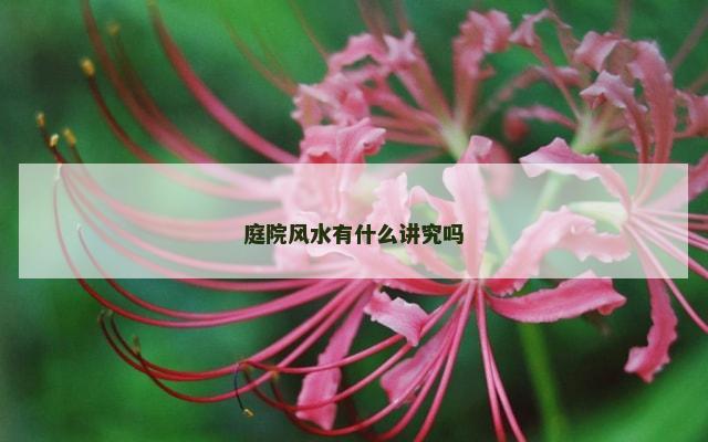 庭院风水有什么讲究吗