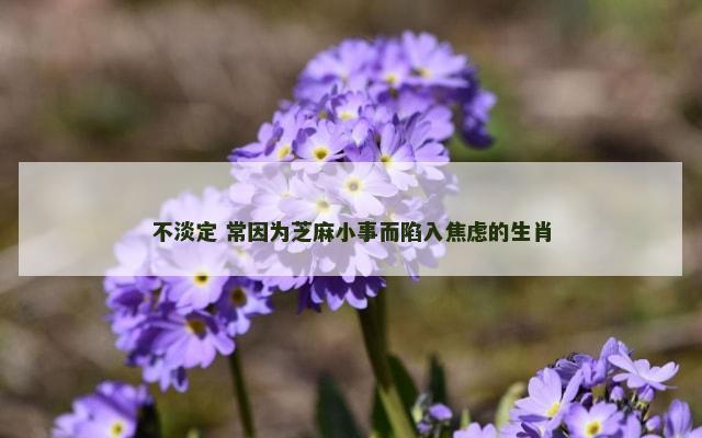 不淡定 常因为芝麻小事而陷入焦虑的生肖