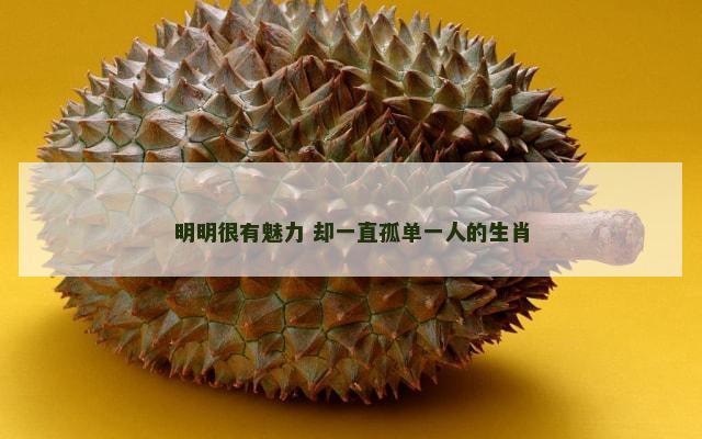 明明很有魅力 却一直孤单一人的生肖