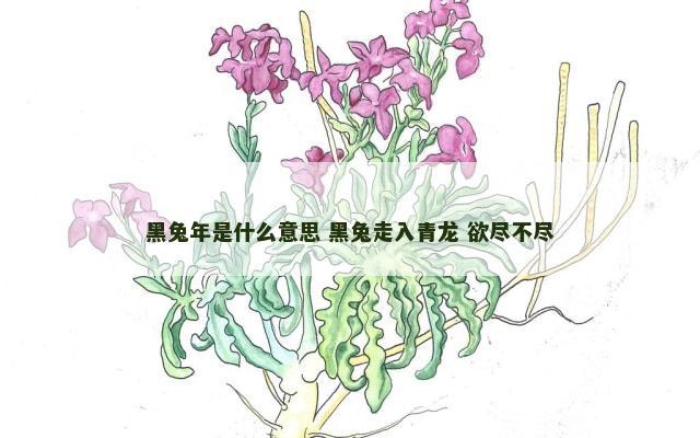 黑兔年是什么意思 黑兔走入青龙 欲尽不尽