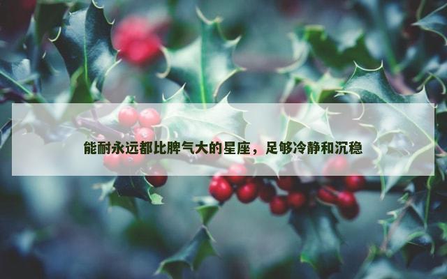 能耐永远都比脾气大的星座，足够冷静和沉稳