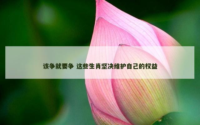 该争就要争 这些生肖坚决维护自己的权益