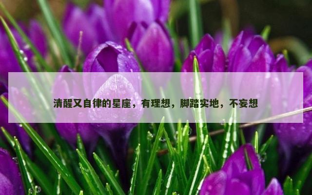 清醒又自律的星座，有理想，脚踏实地，不妄想