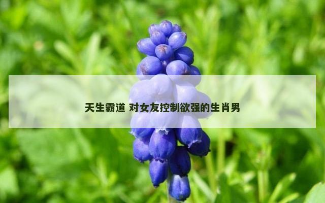 天生霸道 对女友控制欲强的生肖男