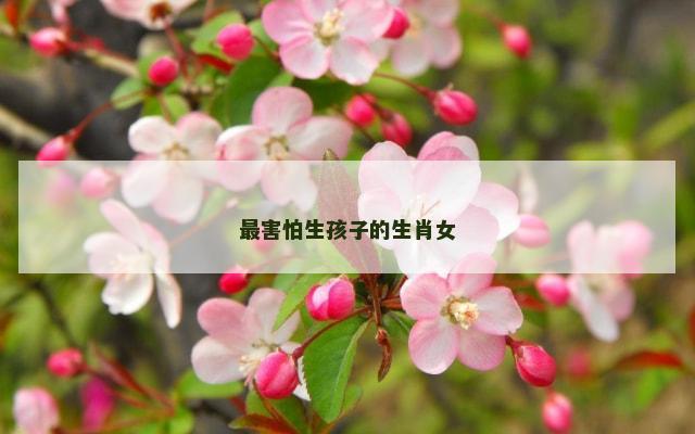 最害怕生孩子的生肖女