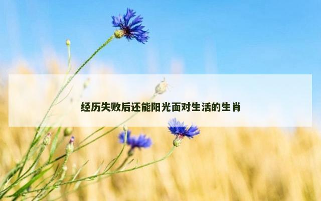 经历失败后还能阳光面对生活的生肖