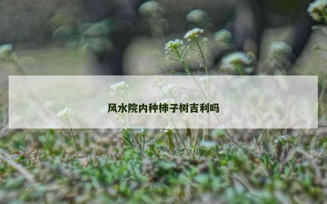 风水院内种柿子树吉利吗