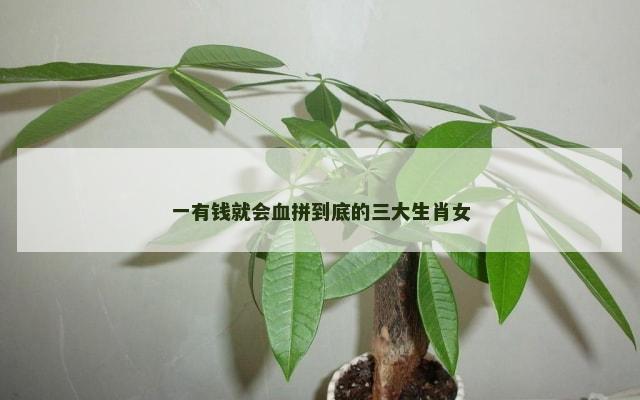 一有钱就会血拼到底的三大生肖女