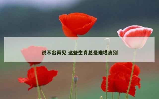 说不出再见 这些生肖总是难堪离别