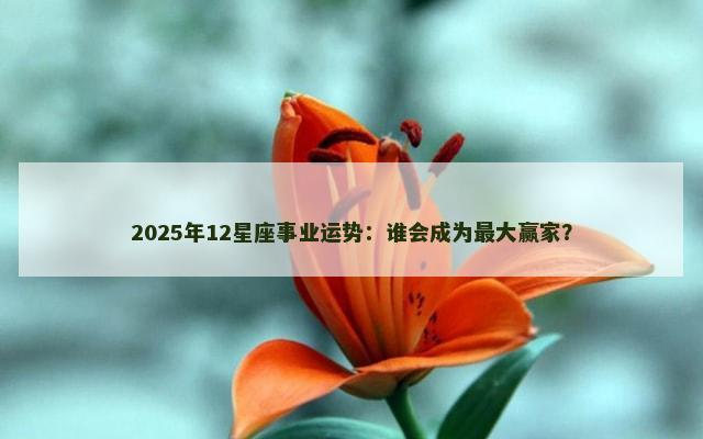 2025年12星座事业运势：谁会成为最大赢家？