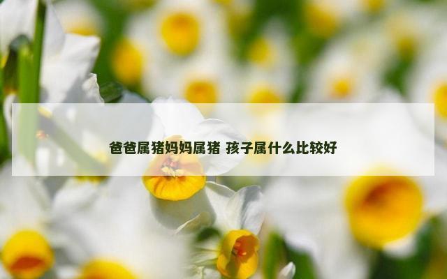 爸爸属猪妈妈属猪 孩子属什么比较好
