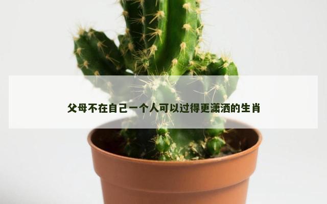 父母不在自己一个人可以过得更潇洒的生肖