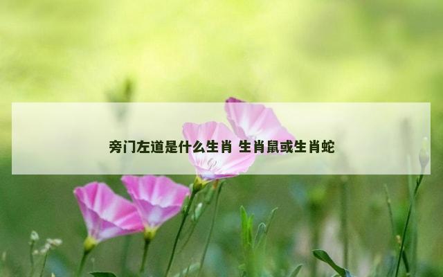 旁门左道是什么生肖 生肖鼠或生肖蛇