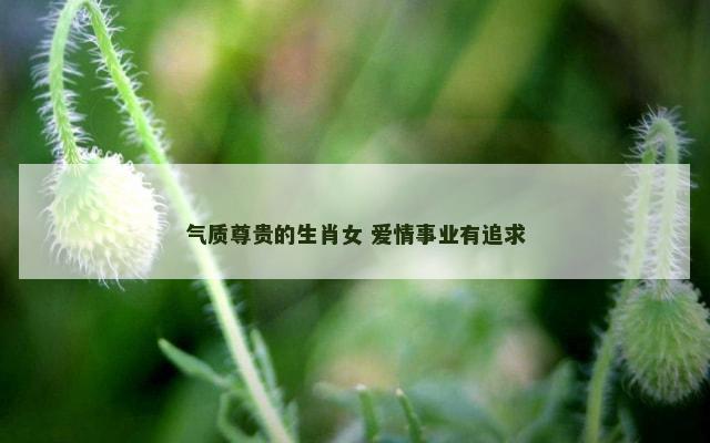 气质尊贵的生肖女 爱情事业有追求