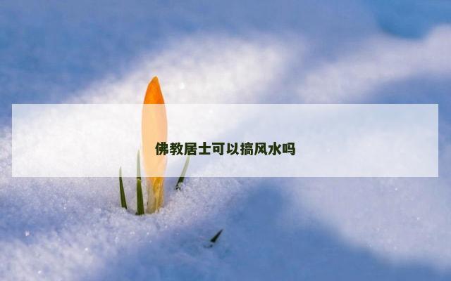 佛教居士可以搞风水吗