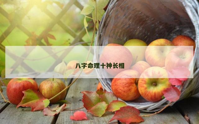 八字命理十神长相