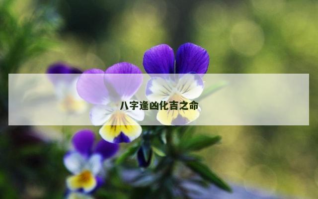 八字逢凶化吉之命