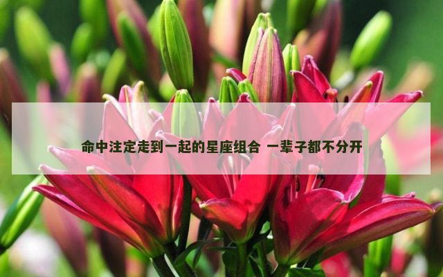 命中注定走到一起的星座组合 一辈子都不分开