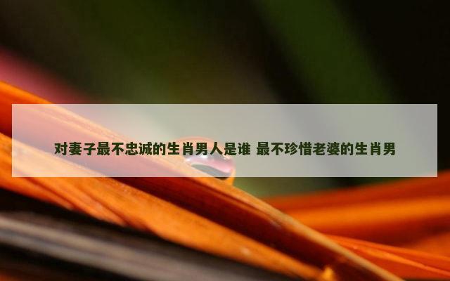 对妻子最不忠诚的生肖男人是谁 最不珍惜老婆的生肖男