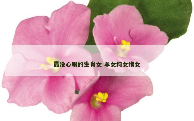 最没心眼的生肖女 羊女狗女猪女