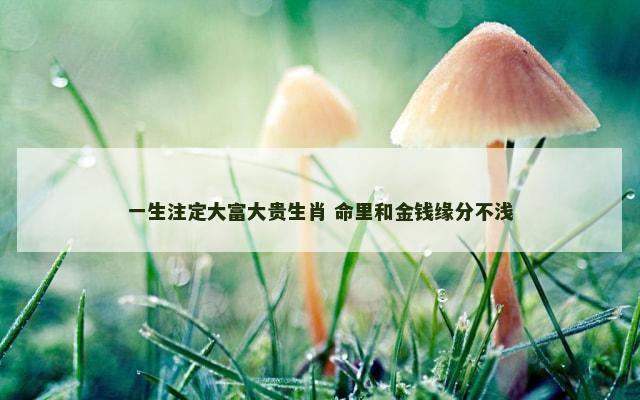 一生注定大富大贵生肖 命里和金钱缘分不浅