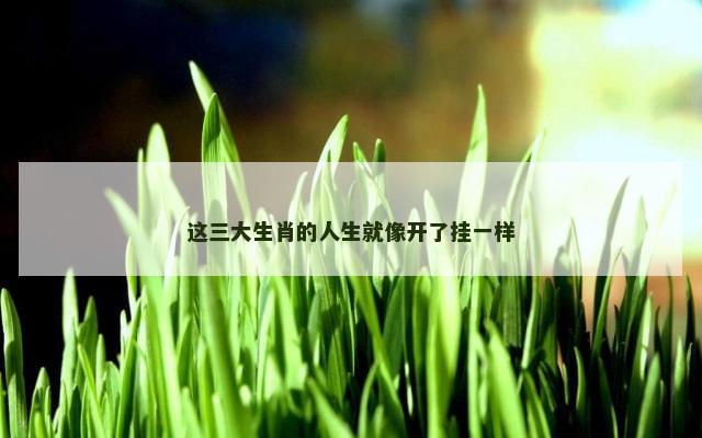 这三大生肖的人生就像开了挂一样