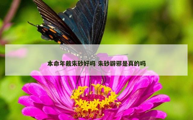 本命年戴朱砂好吗 朱砂辟邪是真的吗