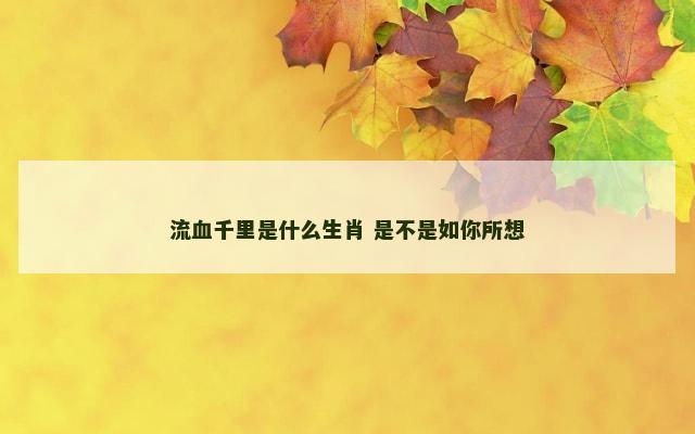 流血千里是什么生肖 是不是如你所想